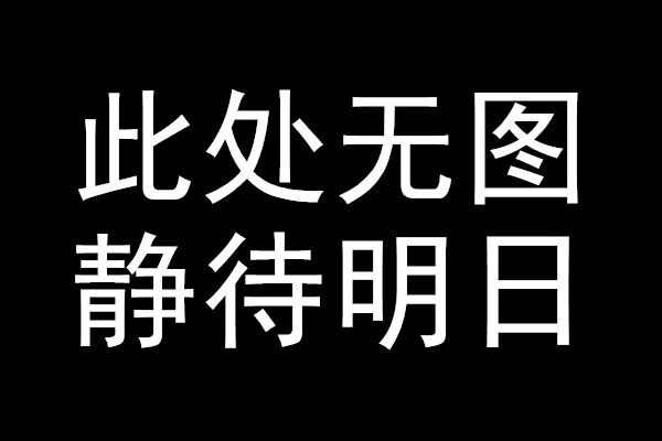 九游老哥J9国际空运提供的服务让我们十分惊喜！